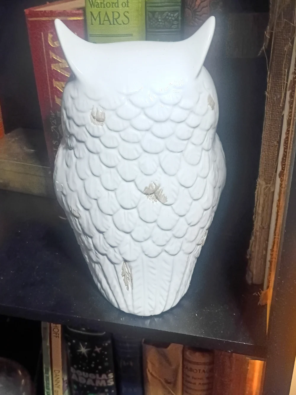 Pier 1 White Gloss Ceramic Owl Figurine